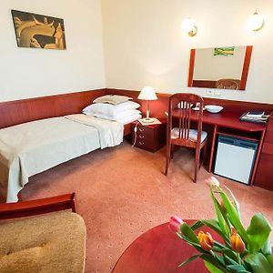 Comfort Einzelzimmer